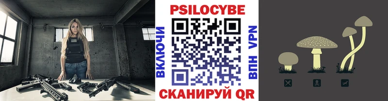 наркота  Красный Сулин  Псилоцибиновые грибы Psilocybine cubensis 